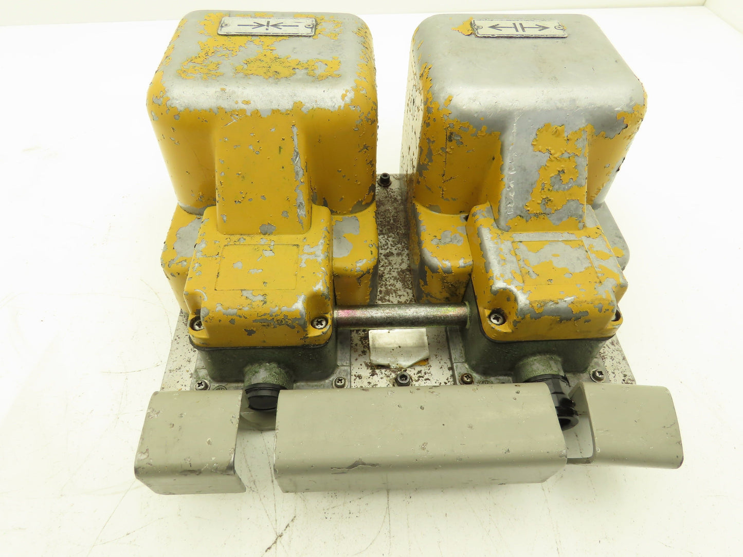 Ojiden OFL-TY1-SM2.KS Safety Guard Machine Foot Switch Double Pedal 10A 250V