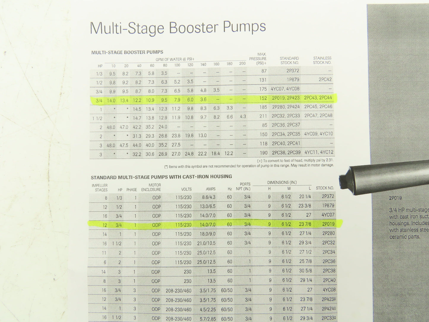 Dayton 2P019 Stainless Steel Multi Stage Booster Pump Motor 3/4HP 115/230V 1PH