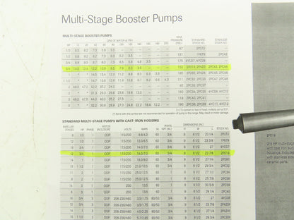 Dayton 2P019 Stainless Steel Multi Stage Booster Pump Motor 3/4HP 115/230V 1PH