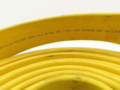Festoon Cable Outdoor E60362H Multi-Conductor Flat Cable 12 Wire 16AWG 600V 24'