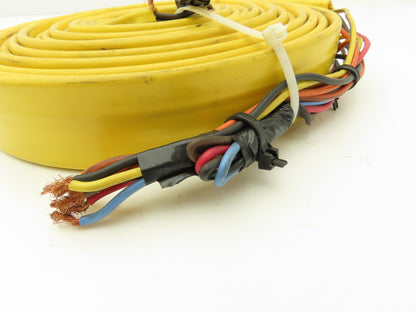 Festoon Cable Outdoor E60362H Multi-Conductor Flat Cable 12 Wire 16AWG 600V 24'