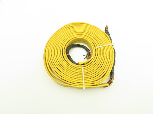 Festoon Cable Outdoor E60362H Multi-Conductor Flat Cable 12 Wire 16AWG 600V 30'