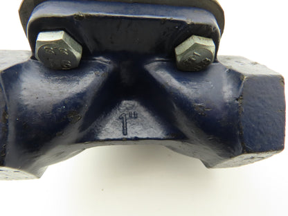 G.I.E. WEIR Style 1" NPT Cast Iron Diaphragm Valve