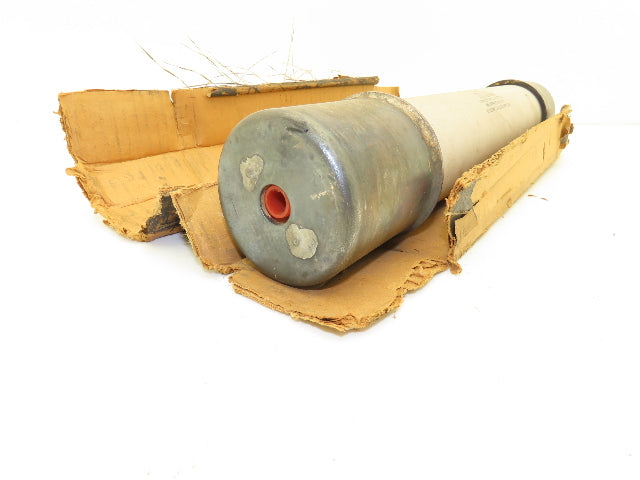 Westinghouse Type CLE-1 Fuse 4.8kv 125E Amp 310C095G16