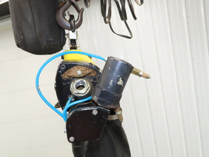 Coffing Duff-Norton 1000 Lb 1/2 Ton Pneumatic Air Chain Hoist 15' Lift Pendant