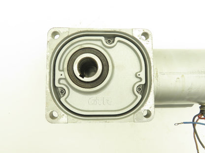 Nissei FSM-30-100-200 Induction Gear Motor 100:1 Reducer 17.2rpm 1/4Hp 100V 1PH