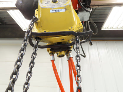 Endo Kogyo AT-60K 132Lb 60kg Pneumatic Air Chain Hoist 10' Lift Chain Pendant