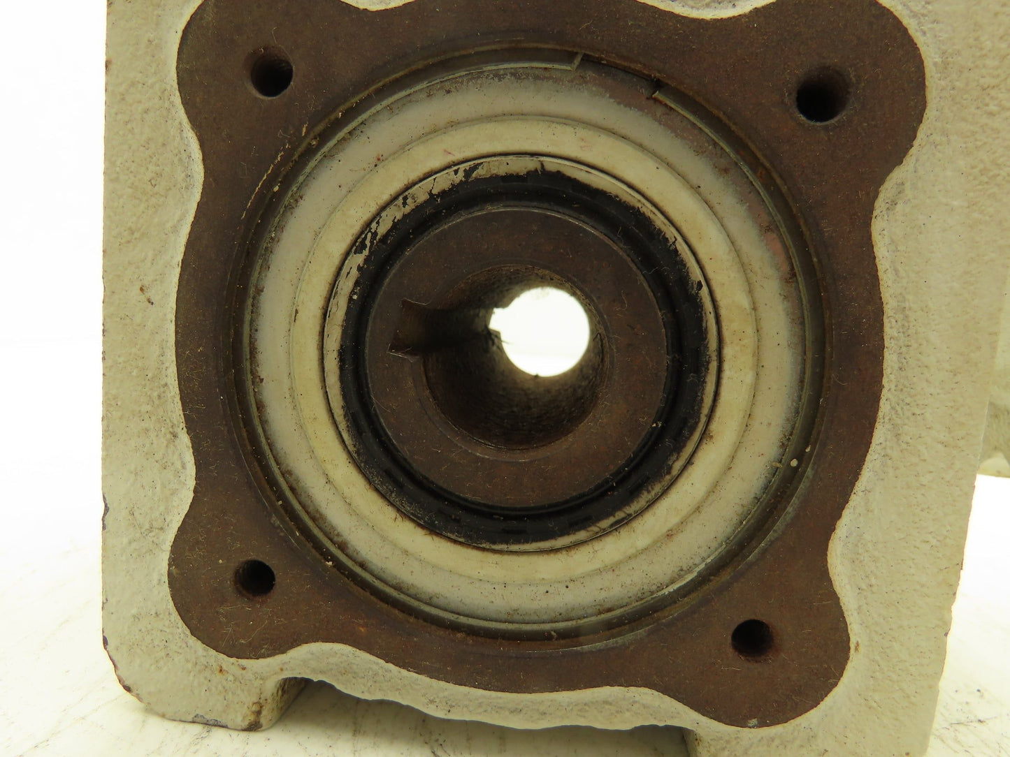 ZAE M 040 B Worm Gearbox Reducer 39:1 Ratio Hollow Shaft IEC 56 Frame