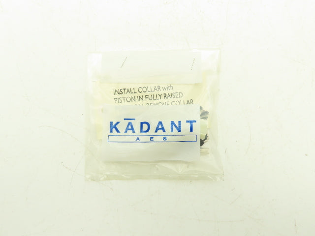 Kadant AES V1000 Vacuum Control Valve Rebuild Kit B22205