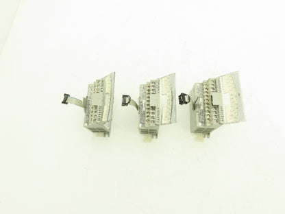 Allen Bradley 1762-IQ16 MicroLogix Sink/Source Input 16 Pt Lot of 3