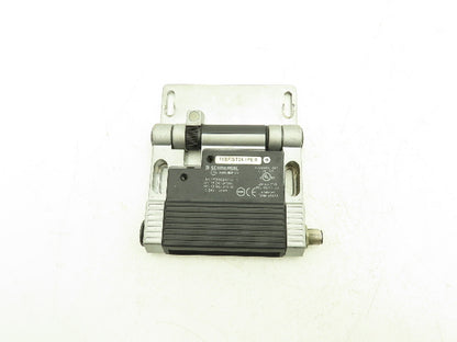 Schmersal TESF/ST24.1PE Safety Limit Switch Hinged 180° Swing