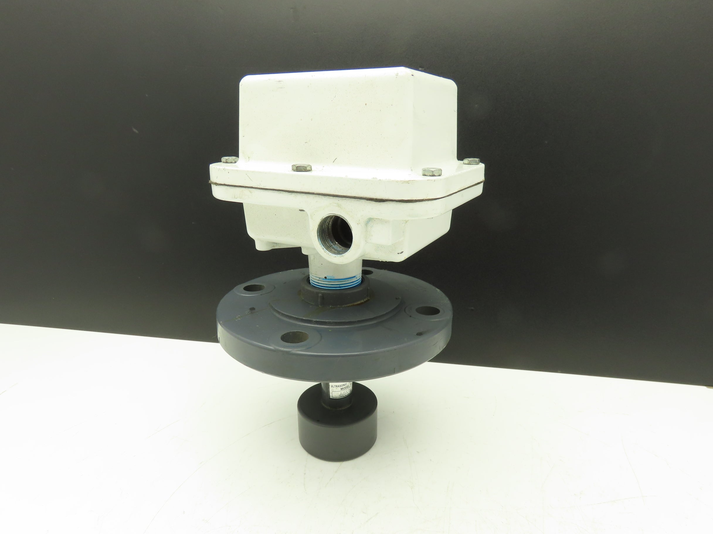 Genelco Bindicator GUS11A3A00 Level Transmitter Sensor 3