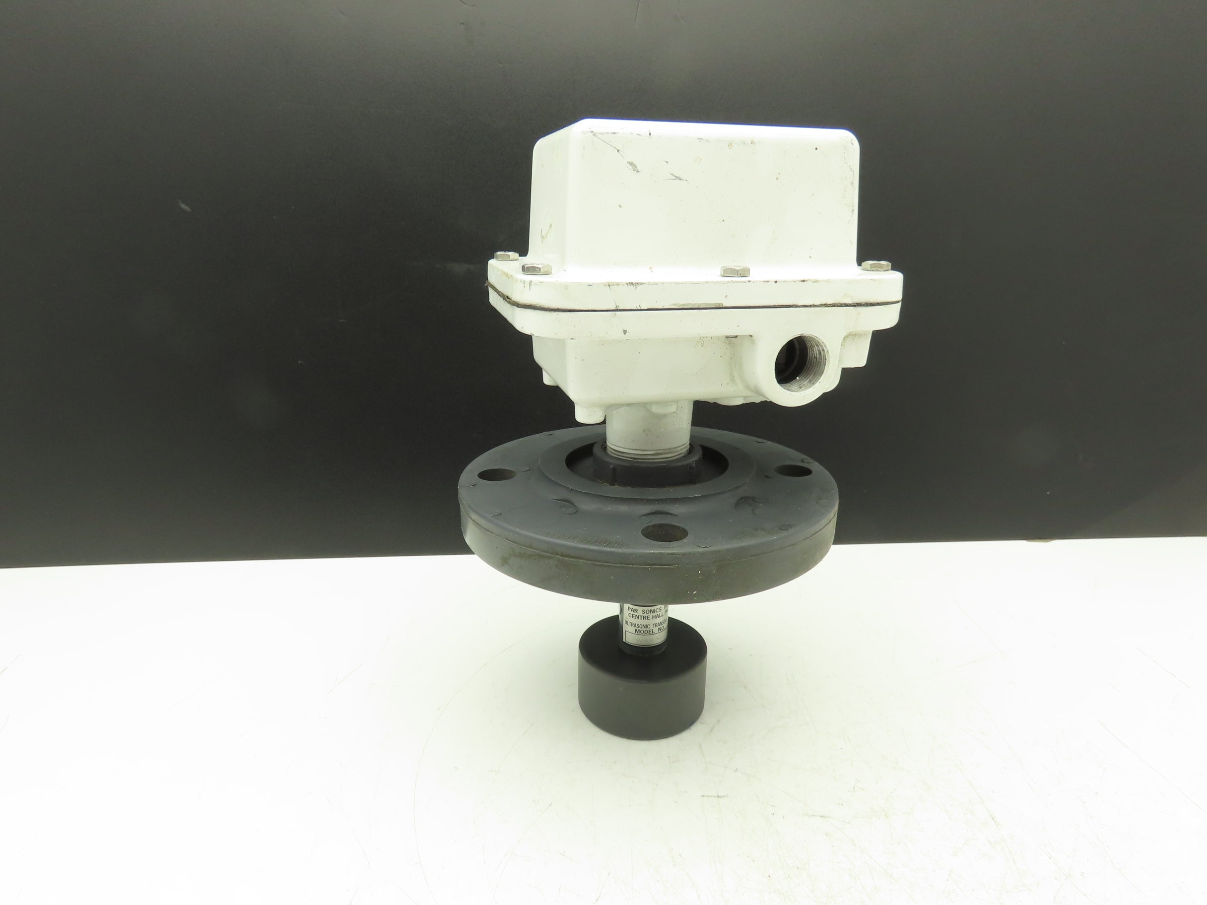 Genelco Bindicator GUS11A3A00 Level Transmitter Sensor 3