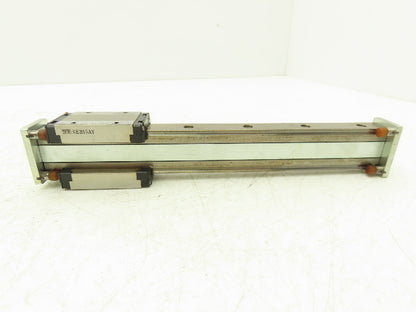 NB SEB15AY Linear Bearing 2-Block Double Sided Guide Rail 15mm x 215mm