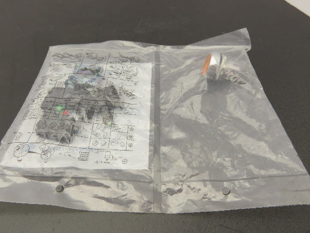 Allen Bradley Pushbutton Amber Orange Illuminated Momentary 2 NO 2NC 22mm