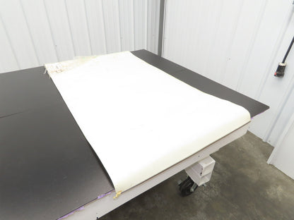 Habasit FNB-5E+H15 Food Grade Antimicrobial Conveyor Belt 28"W x 53"L