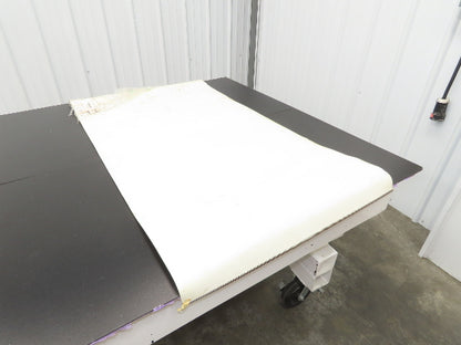 Habasit FNB-5E+H15 Food Grade Antimicrobial Conveyor Belt 28"W x 53"L