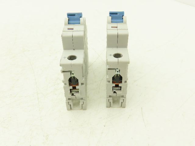 Allen Bradley 1492-D1C060 Mini Circuit Breaker 6A 1-Pole 220V 1PH Ser D Lot of 2