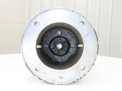 Wanner D10 Hydra-Cell Brass Diaphragm Pump 1"x 3/4"npt 213/215TC Motor Adapter