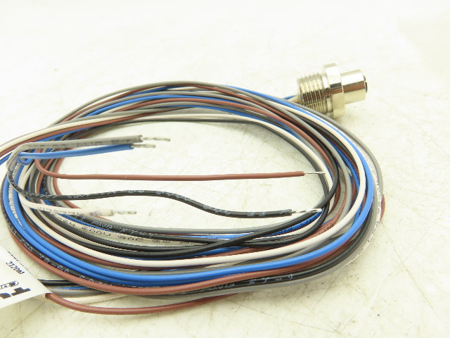 Turck FK4.5-2/14.5/NPT Actuator And Sensor Receptacle Female M12 Lot of 5