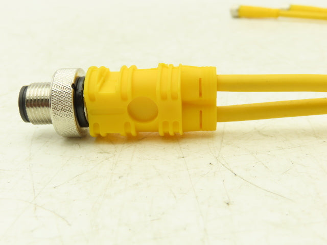 Turck VBRS 4.4-2PKG 3M-0.3/0.3 Cordset Splitter  M12 Male- 2x M8 Female Lot of 3