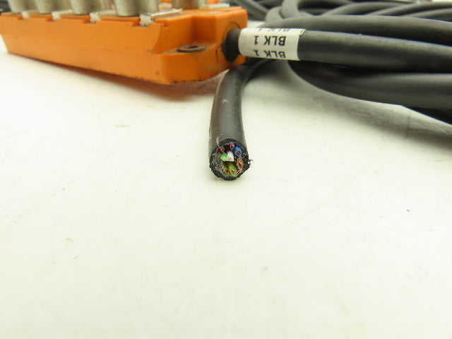 Lumberg Automation ASB 8 5-4-331/5 M 8 Port Sensor Breakout 7' Cable Lot of 4