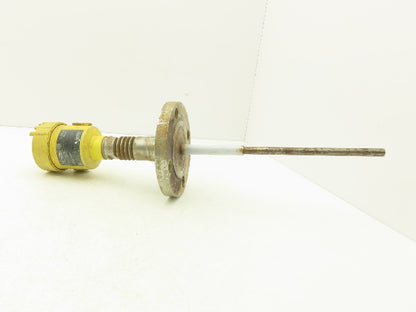 VEGA CAP 62.UXAHARANX-12 Capacitive Rod Indicator Probe Sensor 2" Flange