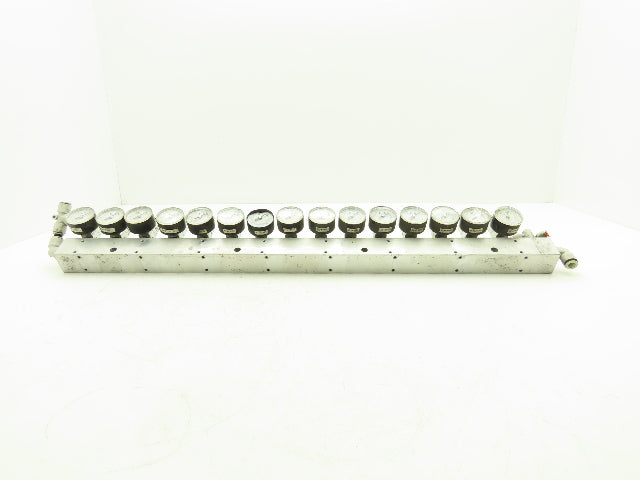 SMC ARJ310-N01-X204 15 Regulator Manifold with 16PSI Gauges