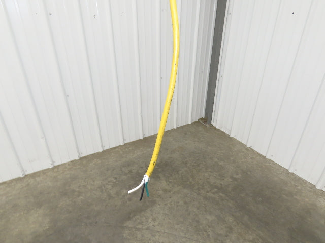 CM Lodestar C 1/4 Ton Electric Chain Hoist 32 FPM 8' Travel 5' Pendant 120 Volt