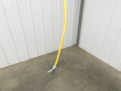 CM Lodestar C 1/4 Ton Electric Chain Hoist 32 FPM 8' Travel 5' Pendant 120 Volt