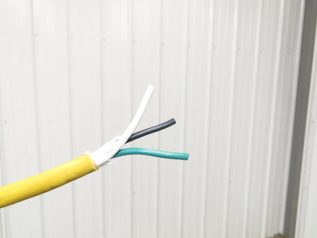 CM Lodestar C 1/4 Ton Electric Chain Hoist 32 FPM 8' Travel 5' Pendant 120 Volt