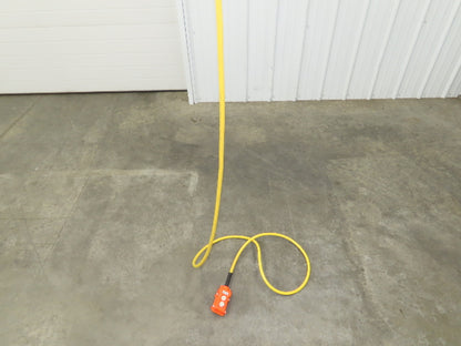 CM Lodestar L 1 Ton Electric Chain Hoist 16 FPM 15' Lift 230/460 Volt 3PH