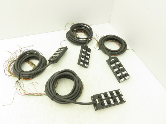Balluff C04 T8L-00-PB-050M-E Junction Box 8-Port Interface 5 Meter M12 Lot of 4