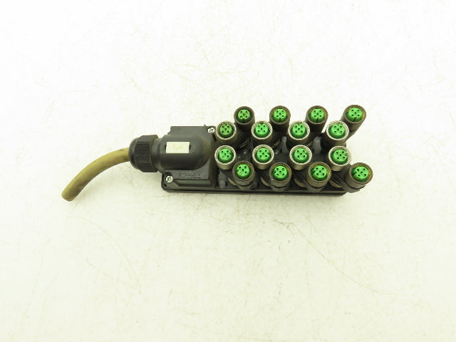 Murr Elektronik MVP12 Junction Box M12 Plug Connection With 7000-41131 Splitters