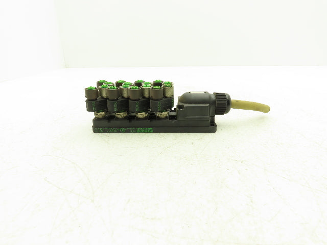 Murr Elektronik MVP12 Junction Box M12 Plug Connection With 7000-41131 Splitters