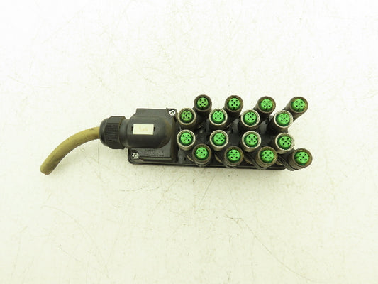 Murr Elektronik MVP12 Junction Box M12 Plug Connection With 7000-41131 Splitters