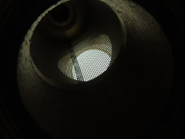 6NPX4 Brass Y Strainer Valve 2"NPT WOG 400 WSP 125