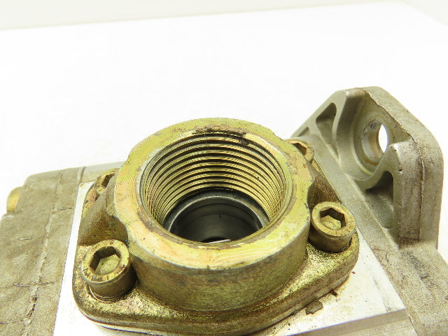 Hydroperfect International P1AAN2030 HPI Hydraulic Rotary Gear Pump 5/8" Shaft