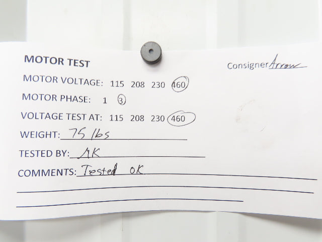 Brinkmann ZT112130-MF+024 Immersion Pump Motor Only 5.4Hp 3450rpm 400V 3PH