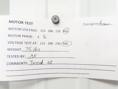 Brinkmann ZT112130-MF+024 Immersion Pump Motor Only 5.4Hp 3450rpm 400V 3PH