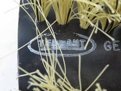 Tennant 363868 36" 8-Single Row Proex Pre-Sweep Main Broom 8010 Sweeper/Scrubber