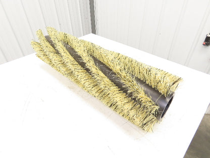 Tennant 363868 36" 8-Single Row Proex Pre-Sweep Main Broom 8010 Sweeper/Scrubber
