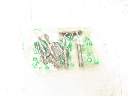 Tsubaki RS80-2 #80 Double Roller Chain Riveted W/Connecting Link 10' Length