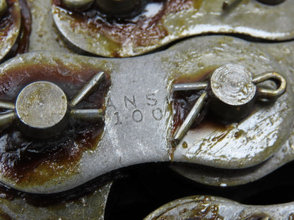 Tsubaki RS100-2 #100 Double Roller Chain W/Connecting Link 10 Feet Length