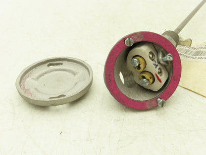 FP Furnace Parts Temperature Transmitter Thermocouple 27" Probe 1/2"npt