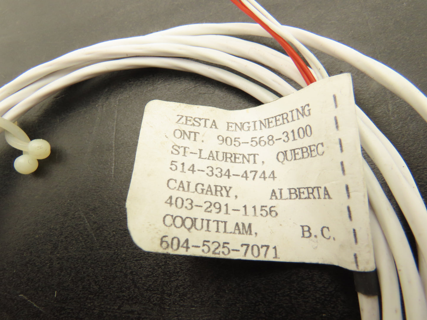 Zesta Engineering ZRTD-2460 Probe 100 ohm 4-wire 6mm Tube 7' Lead