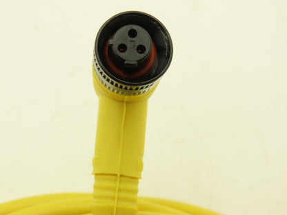 Balluff C21BE300VY300F Connector Cable 3 Pin Right Angle Female to Flying Leads