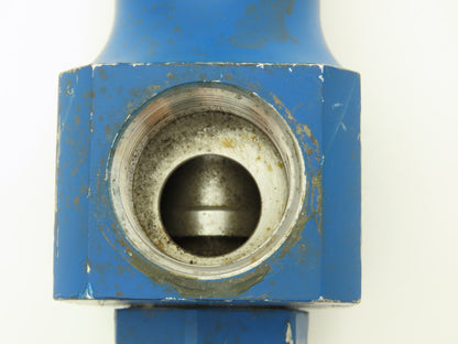 Leser LLC 4323.2602 Safety Relief Valve 30PSI Setpoint 3/4" NPT X 1" NPT
