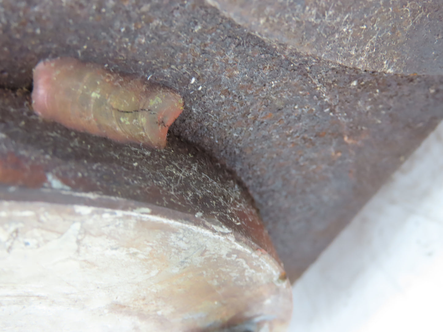 Protectoseal C19542PF3/0069 Pipe-Away Pressure/Vacuum Relief Vent 2x3" Flanged