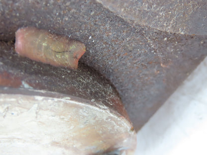 Protectoseal C19542PF3/0069 Pipe-Away Pressure/Vacuum Relief Vent 2x3" Flanged